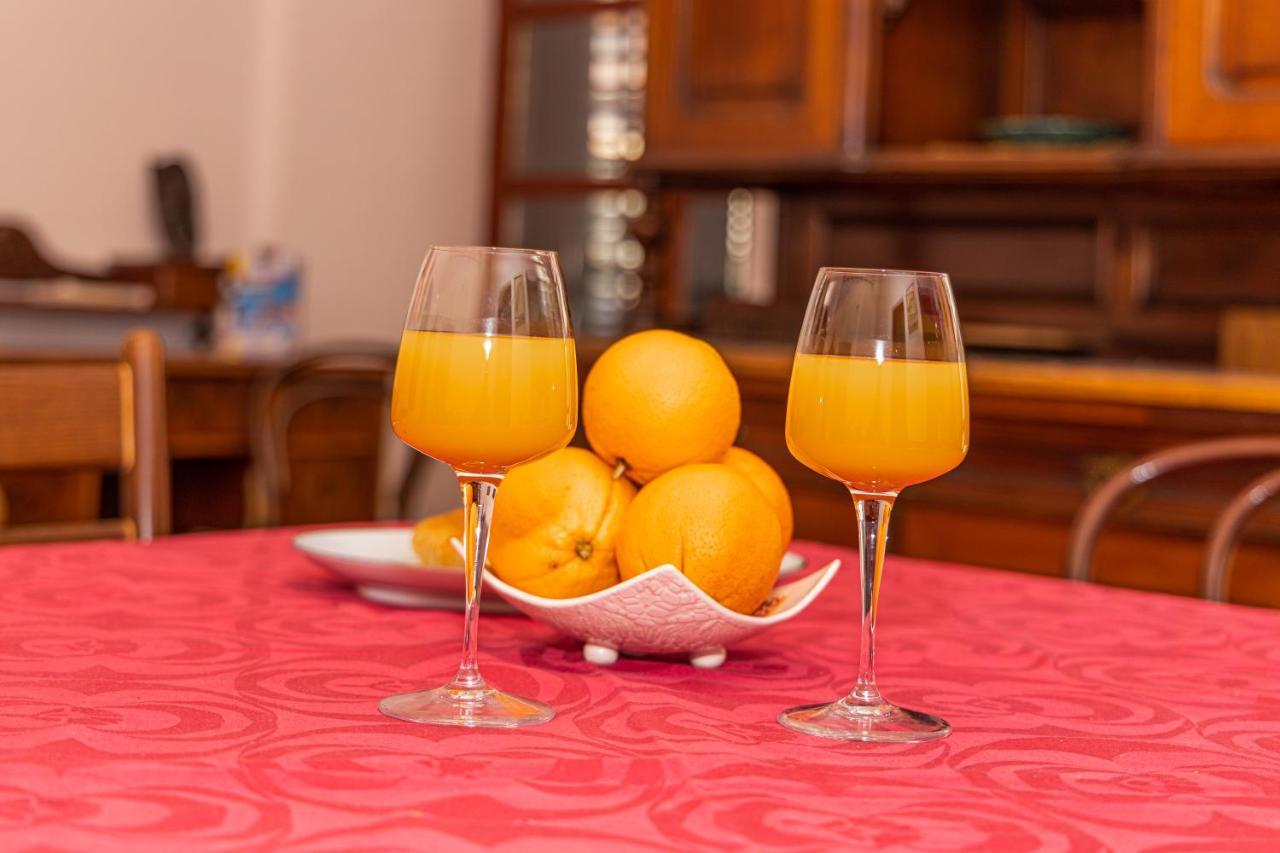 Guesthouse La Havana Dubrownik Zewnętrze zdjęcie